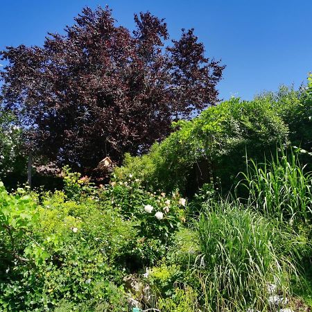 Apartament Naehe Spieleland Vogt Zewnętrze zdjęcie