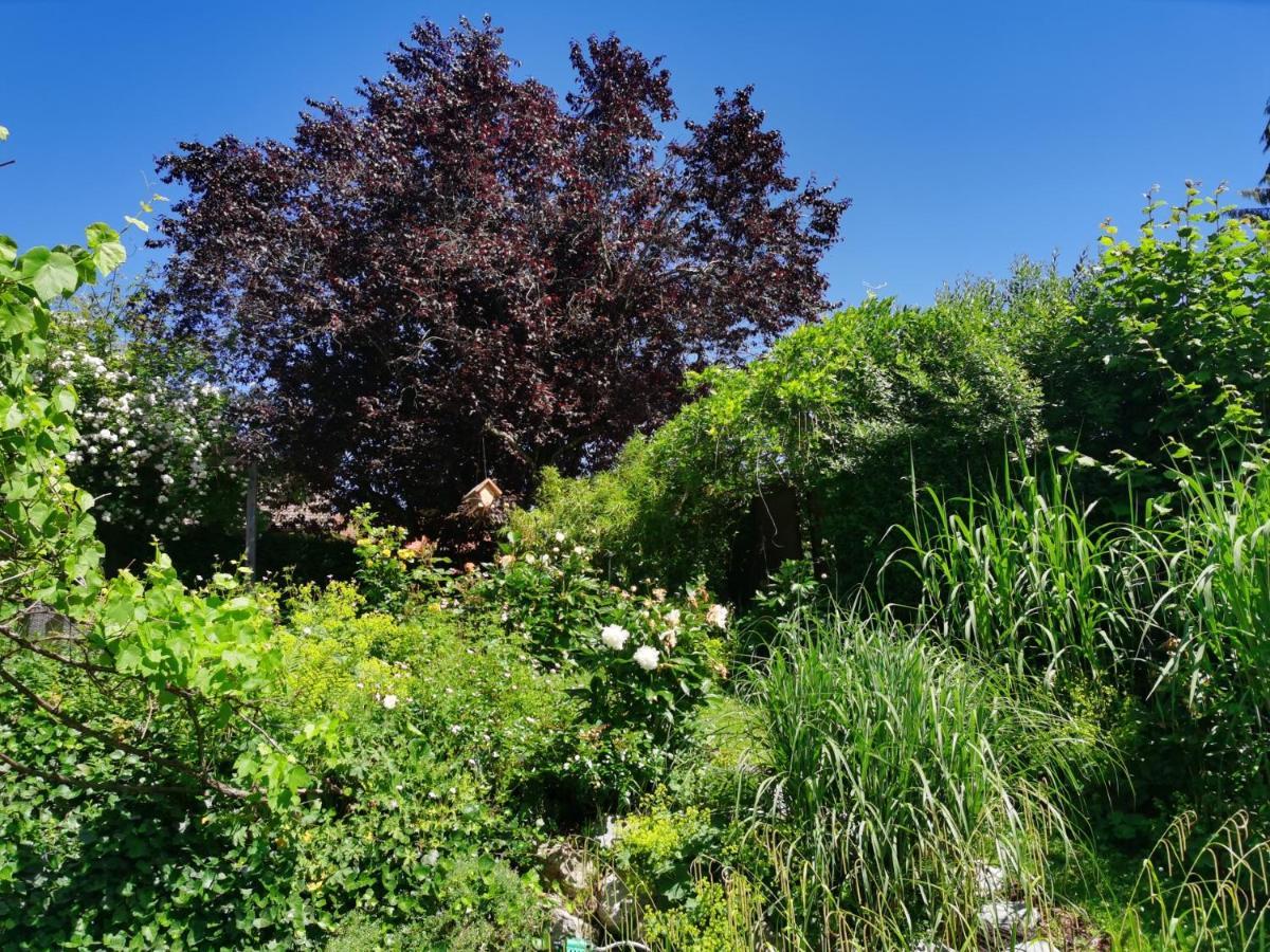 Apartament Naehe Spieleland Vogt Zewnętrze zdjęcie